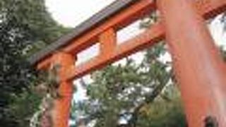 大きな鳥居です