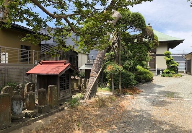 法照寺 クチコミ・アクセス・周辺情報｜藤沢・江ノ島 - フォートラベル