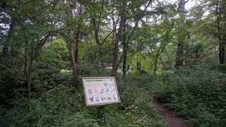 この辺りといった漠とした範囲