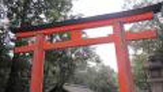 本堂の近くの鳥居です