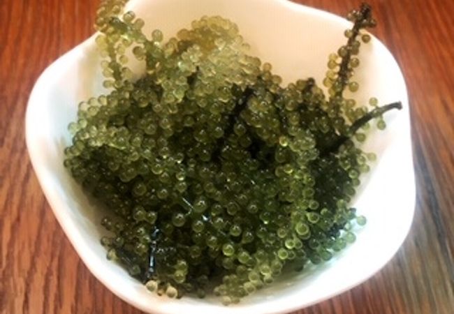 気取らない雰囲気がいいです