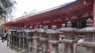 鹿が沢山います