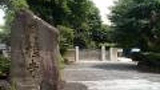 地下鉄都営大江戸線若松河田駅から南東のエリアにあります。