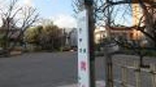 こどもの遊び場の少ない都会では貴重な場所。