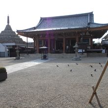 壬生寺本堂と千躰仏塔