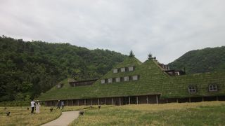 テーマパークのようで広い