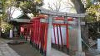 背の低い可愛らしい朱色の鳥居が幾層にも連なる様は、とても趣がありました。