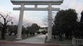 鳥居が立派です