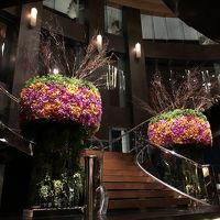 屋上階のエレベーターホール