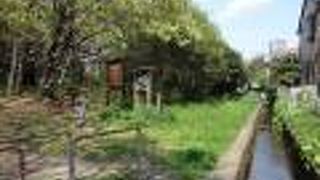 自然がそのまま残されていました