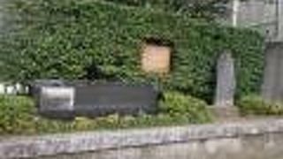 地下鉄都営大江戸線東新宿駅から西にあります。