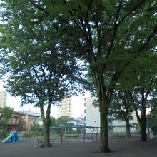 遊具があり木陰も多い園内