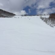 例年は３月下旬でも雪質が最高！