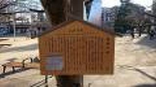 江戸の町の排水の重要な役割を担っていました