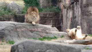 天王寺動物園 