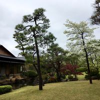 庭園は広くて素晴らしかったです。