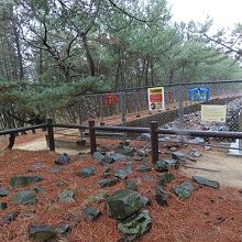 見ごたえがありました