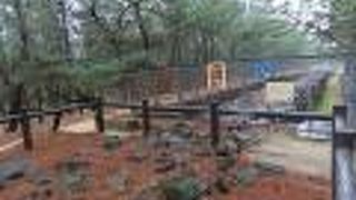 見ごたえがありました