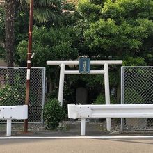 通りの反対側から