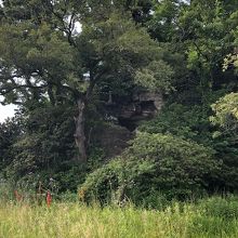 立入禁止エリアの外から