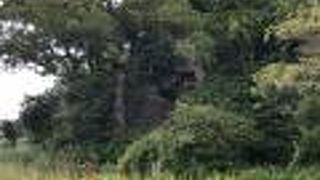 深沢多目的スポーツ広場の一画にある