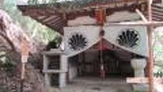 険しい奥の院参道を歩いたのよ