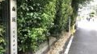 氷川神社から続く坂