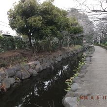 ゆっくり流れる小川
