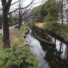 ゆったり流れる小川でした