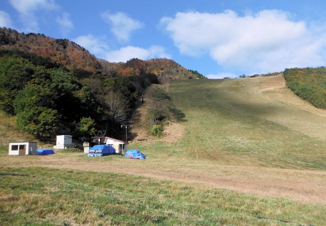 スキー 場 国際 氷ノ山 氷ノ山国際スキー場 ‐