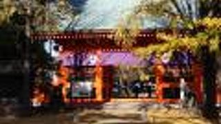 銀杏の大木で有名な神社