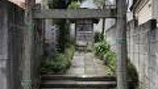 金魚のいる池がある