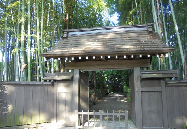 竹林が見事です （妙光院）