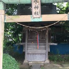 木々が鬱蒼として、昼でも中は暗かった