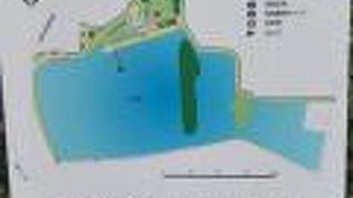 バーベキューしてはりました