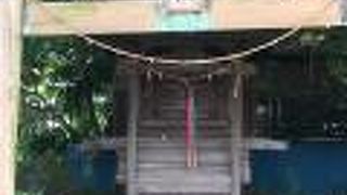 小さな祠と鳥居がある