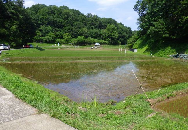 横浜にこれだけの里山が残されているのがとても凄い