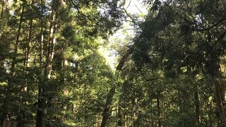 心が洗われます