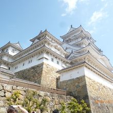 どの角度からもＯＫ！