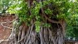 アユタヤと言えば