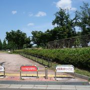 自然が豊かな広い公園