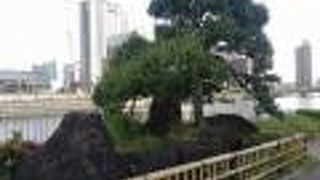 不思議なコントラスト