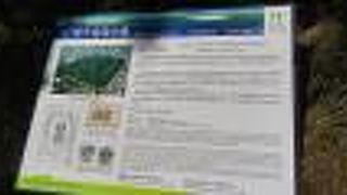 一番有名な古墳だと思います