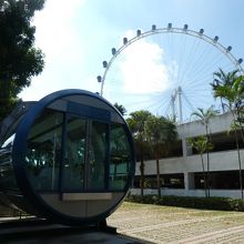 背景は本物。建物はその駐車場。