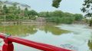 こんなところに池が