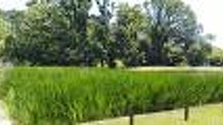 仁徳天皇陵古墳の南側で、大仙公園の中にあります。