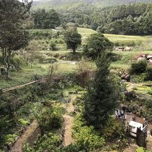 敷地内でも色々栽培されてます