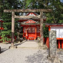 新宮神社　拝殿近くにありました