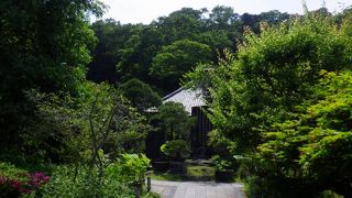 見ごたえがありました