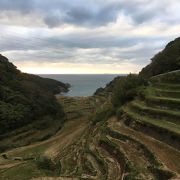 浜野浦の棚田